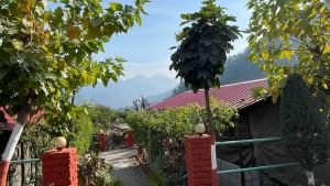 Adventure Sports Packages in Rishikesh