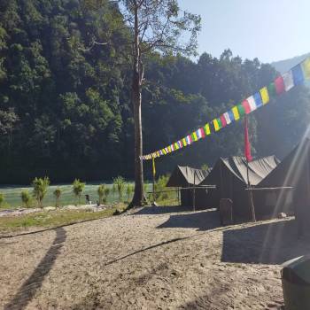 Camp in Rishikesh Near Ganga River